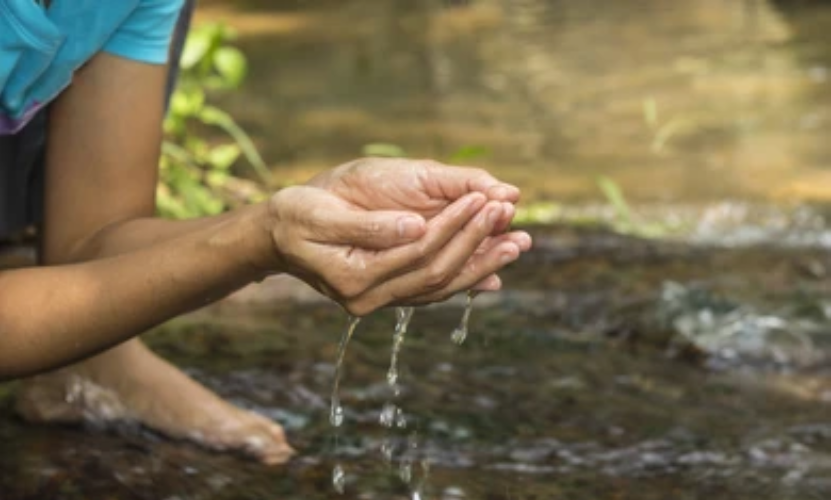 SNS memorial foundation