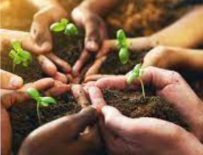 SNS memorial foundation