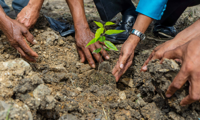 SNS memorial foundation