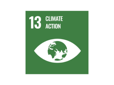 SNS memorial foundation