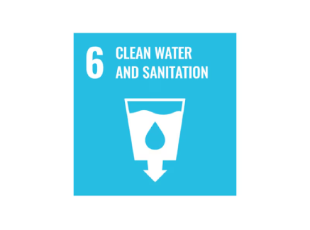 SNS memorial foundation